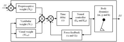 The Reliance on Vestibular Information During Standing Balance Control Decreases With Severity of Vestibular Dysfunction